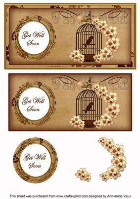 Vtea Birdcage Get Well Soon Dl Decoupage Topper