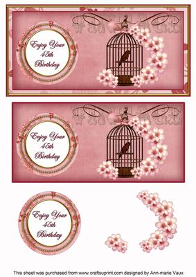 Pink Birdcage 45th Birthday Dl Decoupage Topper