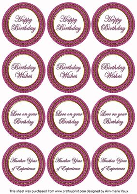 Cerise Check Birthday Mix Sentiment Round Toppers