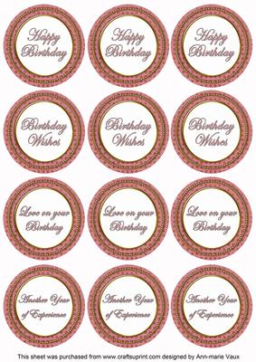 Pink Check Birthday Mix Sentiment Round Toppers