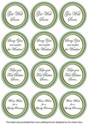 Mint Green Check Get Well Soon Mix Sentiment Round Toppers