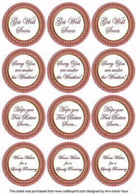 Pink Check Get Well Soon Mix Sentiment Round Toppers