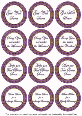 Purple Check Get Well Soon Mix Sentiment Round Toppers