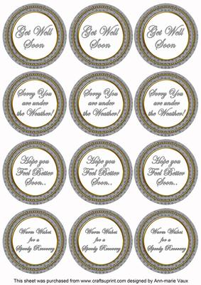 Silver Check Get Well Soon Mix Sentiment Round Toppers