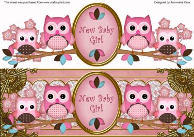Pink Owls New Baby Girl Large Dl Decoupage Topper