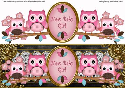 Pink Black Owls New Baby Girl Large Dl Decoupage Topper