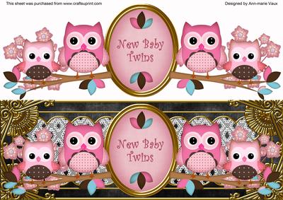 Pink Black Owls New Baby Twins Large Dl Decoupage Topper