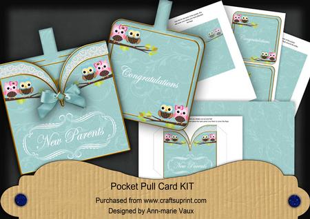 Turq Owls New Parents Vintage Pocket Pull Card Kit