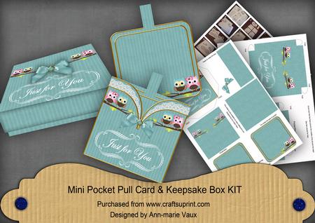 Turq Owls Just for You Mini Pocket & Box Kit