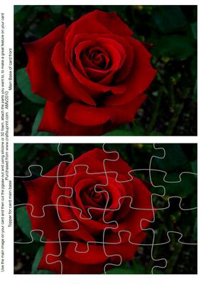 True Red Rose Jigsaw Puzzle Card Front