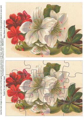 Christmas Amarylis Jigsaw Puzzle Card Front