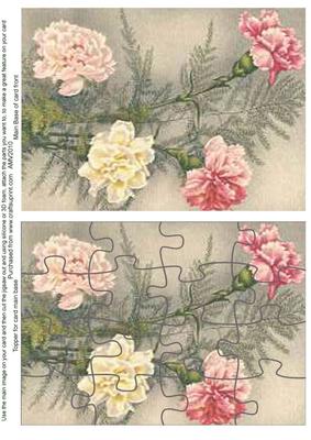 Carnations Jigsaw Puzzle Card Front