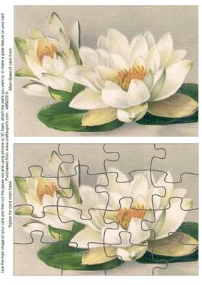 Water Lily Jigsaw Puzzle Card Front