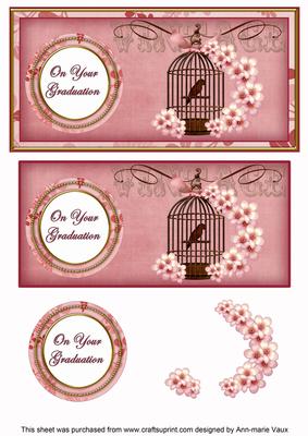 Pink Birdcage Your Graduation Dl Decoupage Topper