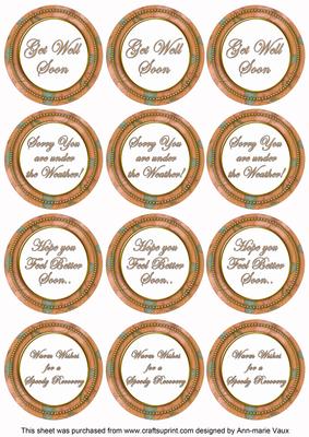 Borange Flora Col Get Well Soon Mix Sentiment Round Toppers