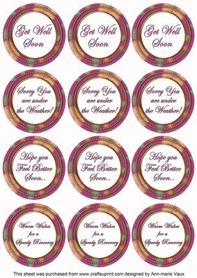 Cerise Flora Col Get Well Soon Mix Sentiment Round Toppers