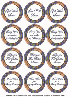 Dblue Flora Col Get Well Soon Mix Sentiment Round Toppers