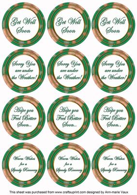 Dgreen Flora Col Get Well Soon Mix Sentiment Round Toppers