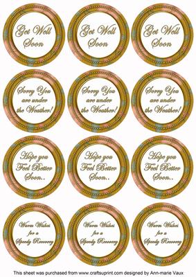 Gold Flora Col Get Well Soon Mix Sentiment Round Toppers