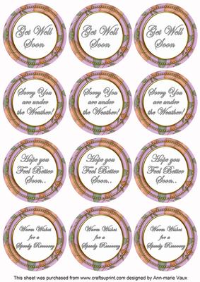 Lilac Flora Col Get Well Soon Mix Sentiment Round Toppers