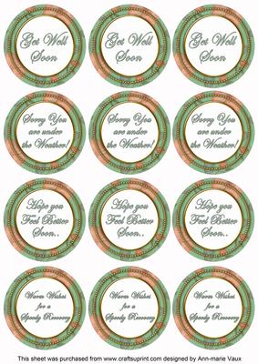 Midgreen Flora Col Get Well Soon Mix Sentiment Round Toppers