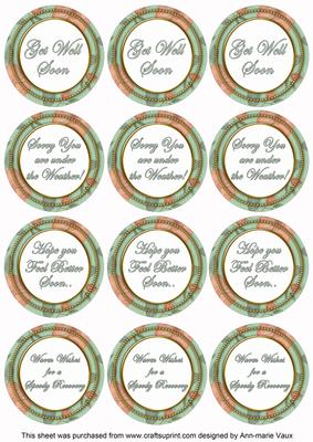 Mint Flora Col Get Well Soon Mix Sentiment Round Toppers