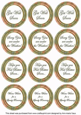 Olive Flora Col Get Well Soon Mix Sentiment Round Toppers