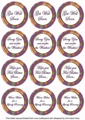 Purple Flora Col Get Well Soon Mix Sentiment Round Toppers