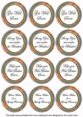 Silver Flora Col Get Well Soon Mix Sentiment Round Toppers