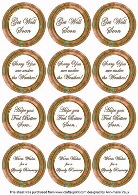 Vtea Flora Col Get Well Soon Mix Sentiment Round Toppers