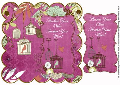 Cerise Birdcage Another Year Older 8in Scallop Topper