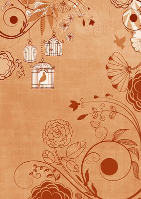 Borange Retro Birdcage A4 Backing Paper