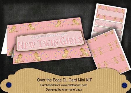 Pink Baby Twin Girls Dl Over the Edge Mini Kit