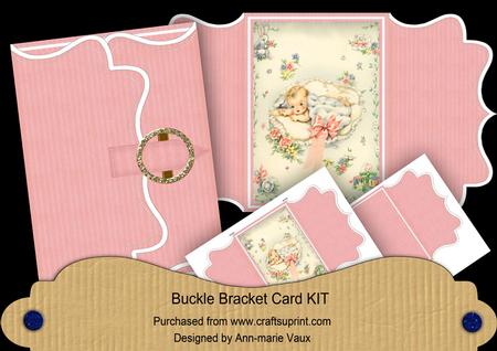 Baby Girl Pink Buckle Bracket Mini Card Kit