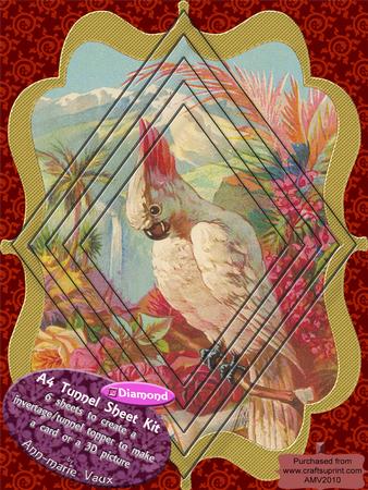 Pretty Polly Parrot A4 Diamond Tunnel Topper Kit