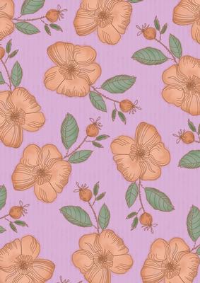 Lilac Big Peach Flora Colour A4 Backing Paper