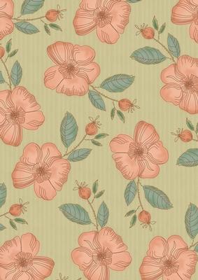 Cream Big Peach Flora Colour A4 Backing Paper