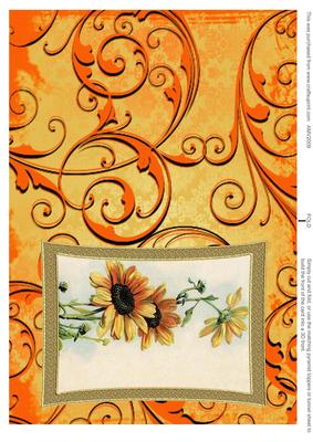Big Daisies Curved Gold Card