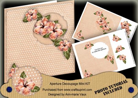 Peach Hibiscus 8in Aperture Decoupage Cf Mini Kit