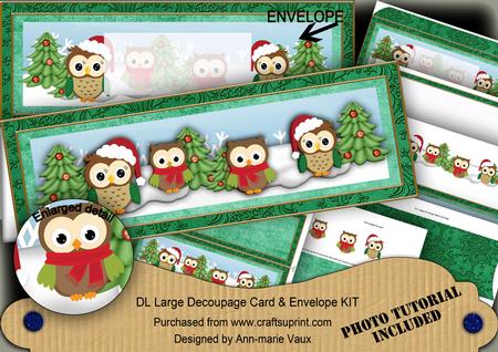 Cute Green Owls Christmas Large Dl Decoupage Card & Env Kit