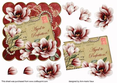 Red Magnolia Aged to Perfection 6in Step by Step