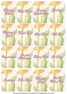 Tulips Matching Floral Perfume Mixed Sentiment Cards