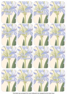 Agapanthus Matching Floral Perfume Mixed Sentiment Cards