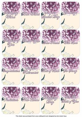 Lil Carnations Matching Floral Perfume Mixed Sentiment Cards