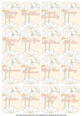 Daisies Matching Floral Perfume Mixed Sentiment Cards