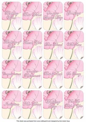 Pink Poppy Matching Floral Perfume Mixed Sentiment Cards