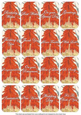 Red Hot Poker Matching Floral Perfume Mixed Sentiment Cards
