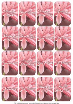 Water Lily Matching Floral Perfume Mixed Sentiment Cards