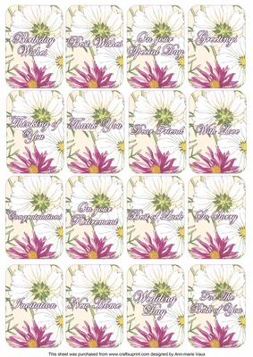 Cosmos Mix Matching Floral Perfume Mixed Sentiment Cards