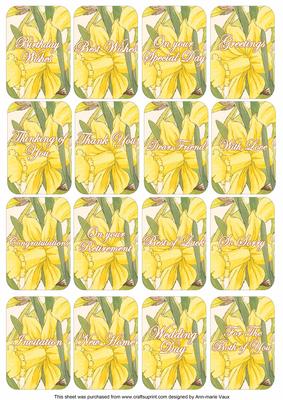 Happy Daffs Matching Floral Perfume Mixed Sentiment Cards